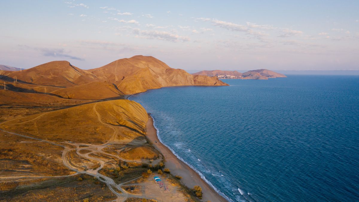 Phasellus at magna lacus